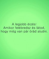 /album/kepek-szoveggel-/a229226-329372997160867-725782925-n-jpg/