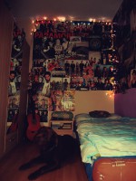 /album/haloszobak-melyikben-laknal-/tumblr-mcm2zphmbo1roirb1o1-500-large-jpg/