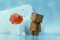 /album/danbo-mert-olyan-arii-/are-you-nemo-by-dragonfly113-d3c4uu6-large-jpg/