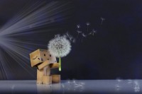 /album/danbo-mert-olyan-arii-/blowball-blow-by-dragonfly113-d3h9867-large-jpg/