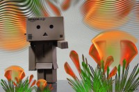 /album/danbo-mert-olyan-arii-/danbo-in-fractal-wonderland-by-dragonfly113-d37x9c4-large-jpg/