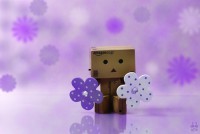 /album/danbo-mert-olyan-arii-/flower-child-by-dragonfly113-d3bw4ri-large-jpg/