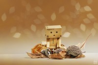 /album/danbo-mert-olyan-arii-/woken-up-by-dragonfly113-d3ccblf-large-jpg/