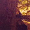 /album/kepgaleria-fenykepgaleria/a13-www-kepfeltoltes-hu-gif/