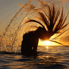 /album/kepgaleria-fenykepgaleria/dgg3347k6bahvwkdk670-gif/