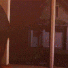 /album/kepgaleria-fenykepgaleria/pll3-www-kepfeltoltes-hu-gif/