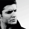 /album/kepgaleria-fenykepgaleria/qfwupv9vdofb929f13sk-gif/