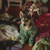 /album/kepgaleria-fenykepgaleria/tb-27-gif/