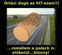 /album/agyzsibbasztas/a404169-498892756790331-1084243988-n-jpg/