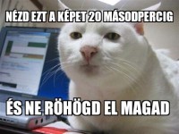 /album/agyzsibbasztas/a536753-525099590836314-336957032-n-jpg/