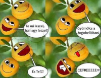 /album/agyzsibbasztas/a559644-506613949351545-273537247-n-jpg/